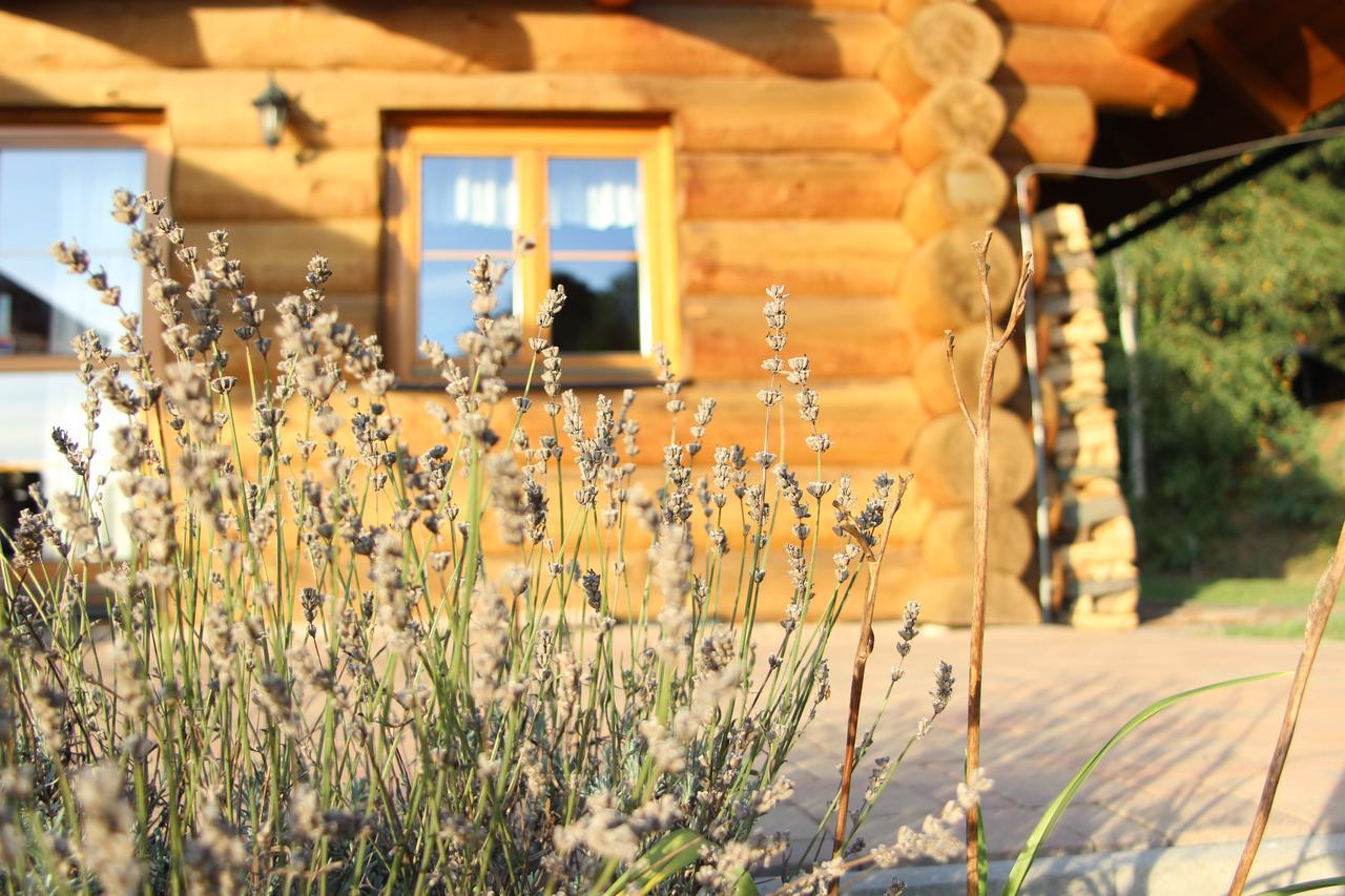 Ranch Bystra Villa Bystrá nad Jizerou Dış mekan fotoğraf